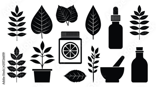 Icon collection vector silhouettes of natural skincare