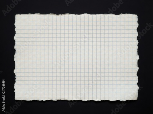 Torn graph paper sheet on black background isolated studio shot
