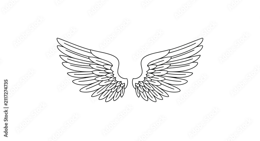 Fototapeta premium Outline of Angel Wings Spread Open on a White Background illustration drawing
