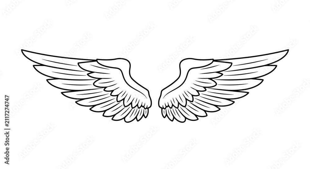 Fototapeta premium Outline of Angel Wings Spread Open on a White Background illustration drawing
