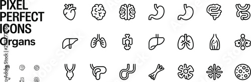 Fotografie Human Organ Line Icon Set vector illustration featuring heart liver brain stomac