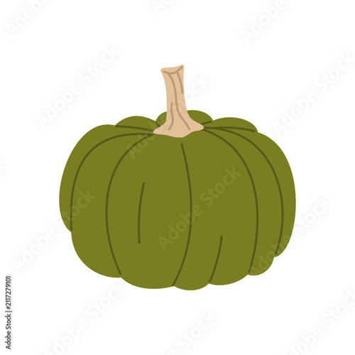Green harvest pumpkin. Decorative green pumpkin with rounded ribbed shape and short stem isolated on white background. Vector 10 EPS.