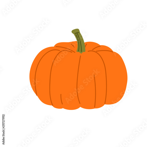 Large orange harvest pumpkin. Bright orange pumpkin with classic rounded form and pronounced ribs isolated in autumn style. Vector 10 EPS.