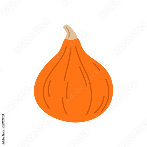 Onion shaped ornamental pumpkin. Small decorative pumpkin with bulbous shape and bright orange color isolated in autumn style. Vector 10 EPS.