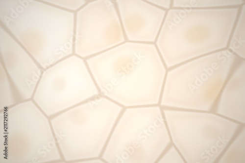 Cellular structure pattern