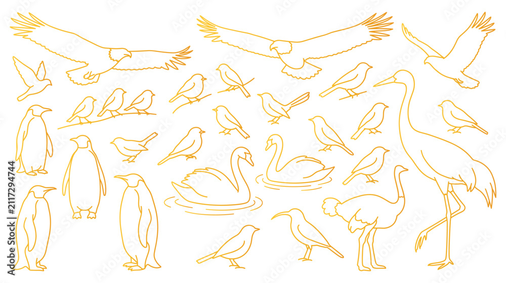 Fototapeta premium Birds collection outline vector illustration with various species of wild and farm avian.