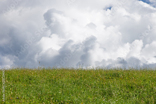 Картината върху платно A vivid green flower meadow rises beneath towering gray and white clouds, forming a minimal alpine landscape with soft diffused summer light