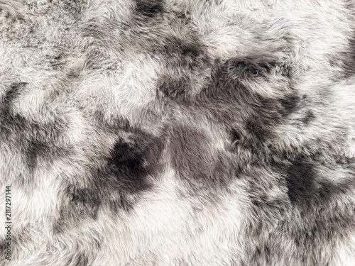 Fotografía Detailed texture background of soft grey and white natural animal fur or synthetic faux fur pelt, ideal for fashion, interior design, and winter themes