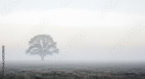 A lone, sturdy tree stands silently in a vast, foggy field under a soft, diffused sky, creating a tranquil and mysterious natural landscape scene