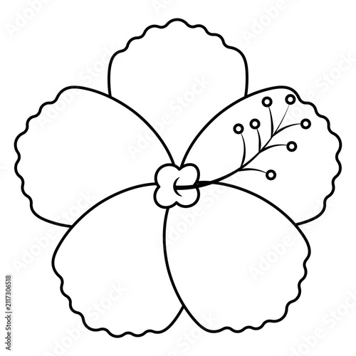 Hibicus. Chinese rose. Sketch. Open flower petals with a lush, long center. Vector illustration. Outline on an isolated white background. Doodle style. Coloring book. Web design idea.