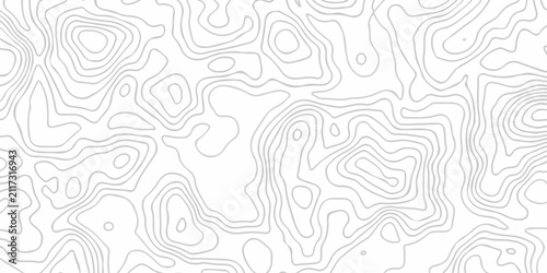 Cuadro en lienzo White abstract wave paper spiral area world topography map curved reliefs design