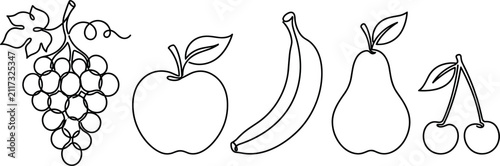 Obraz na płótnie Minimalist continuous line art fruit vector illustration set featuring single li