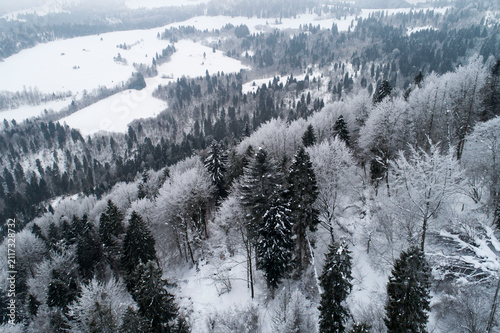 Pieniny Mountains