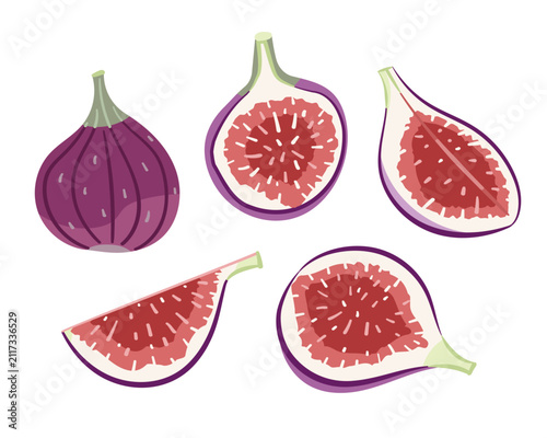 Purple Fig Illustration Set, A colorful collection of whole and sliced purple figs with detailed interiors and seeds.