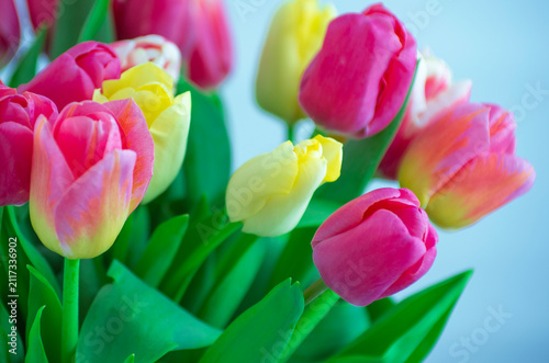 Mix of tulips flowers background