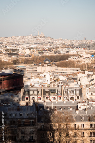 View from the Eiffel Tower in a sunny day in Paris 1