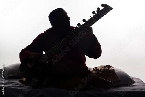 Obraz na plátně Man playing the sitar