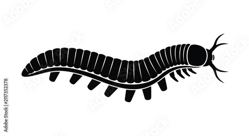 Foto Black millipede silhouette against a white background detailed segmented body il