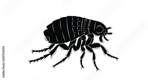 Canvastavla Black Flea Insect Silhouette Against A White Background Detailed Vector Illustra