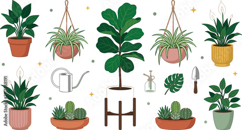 Houseplant collection featuring fiddle leaf fig, spider plant, peace lily, succulents, hanging planters, and indoor gardening essentials flat vector illustration