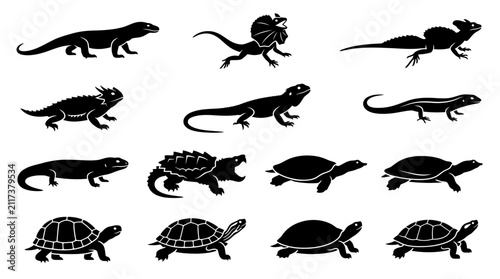Konstfotografi Collection of Reptile Silhouettes Including Lizards and Turtles.
