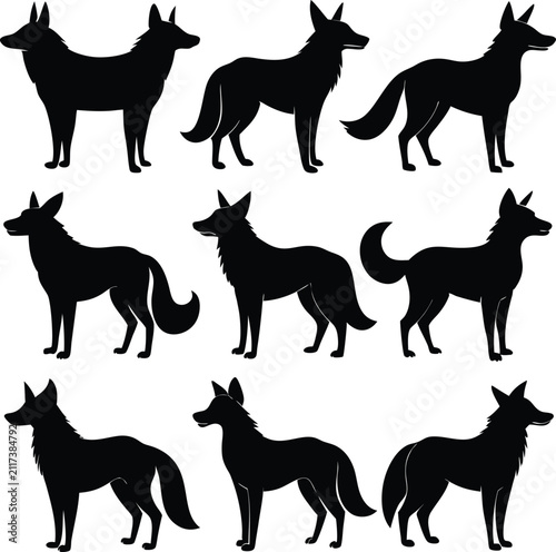 Set of black dog silhouettes in various standing poses showing different breeds and shapes isolated on a plain white background for