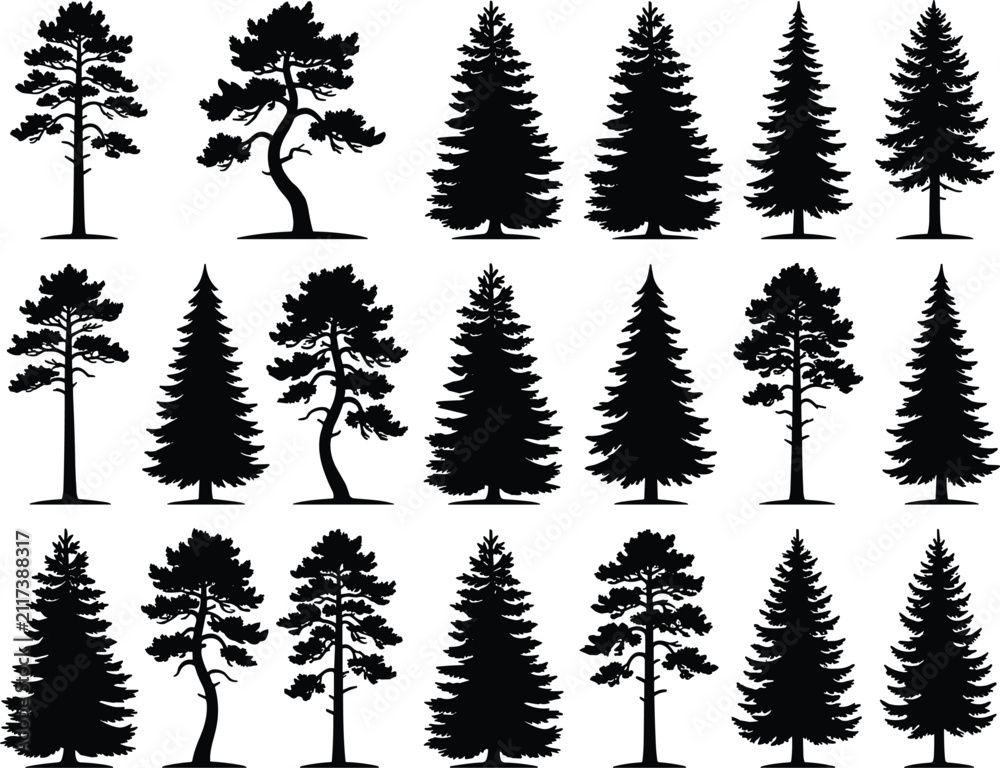 Fototapeta premium Coniferous forest pine and fir tree silhouette collection for wilderness landscape design christmas graphics and woodworking project elements