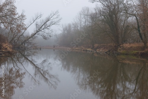 Landscape of river between riverbanks overgrown in forest