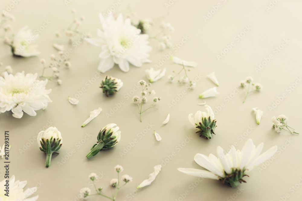 Fototapeta premium Top view image of white flowers on pastel background