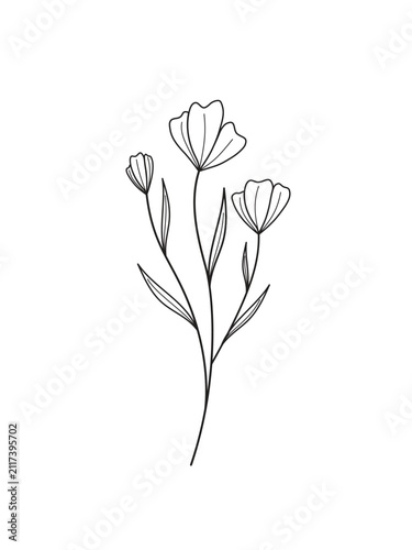 Flower and plant line art botanical illustration. Trendy greenery hand drawn black ink sketche. Modern design for logo, wall art, branding and packaging.