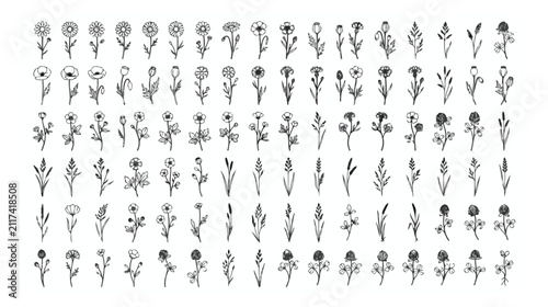 Foto Minimalist insect line icons set, 36 black outline bug vector illustrations, mod