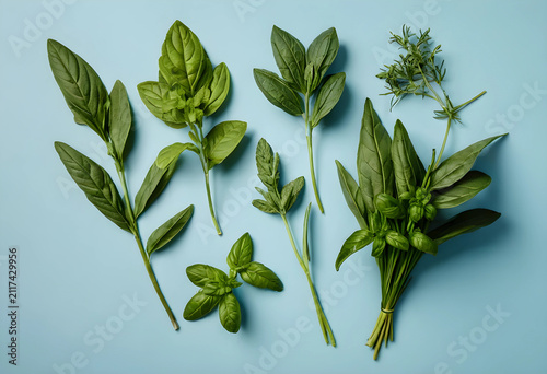 Fresh green herbs including...