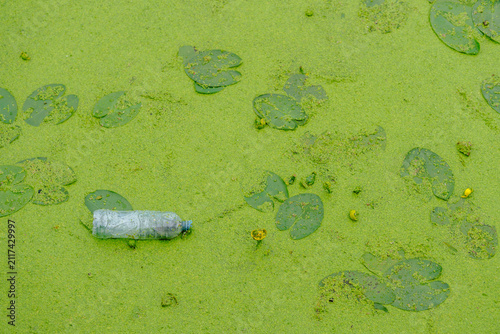 Plastic bottle pollution in a green pond with duckweed and water lily leaves. Ecological problem of plastic waste in natural freshwater environment.