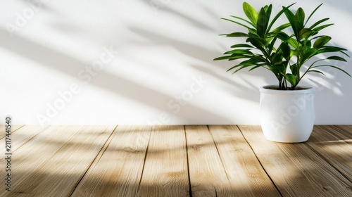 Minimalist indoor plant in white pot on wooden floor background for modern interior decor design and cozy home aesthetics photography