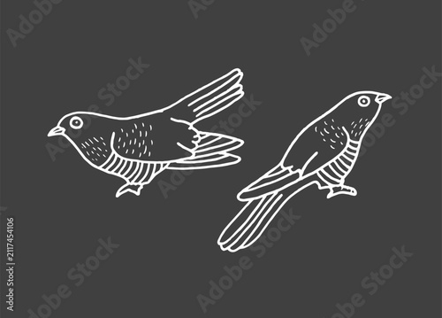 Принти на полотні Hand drawn coo coo birds, doodle handmade illustration
