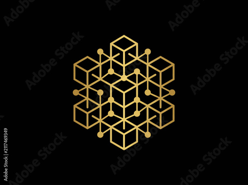 Elegant Geometric Gold Network Structure Icon