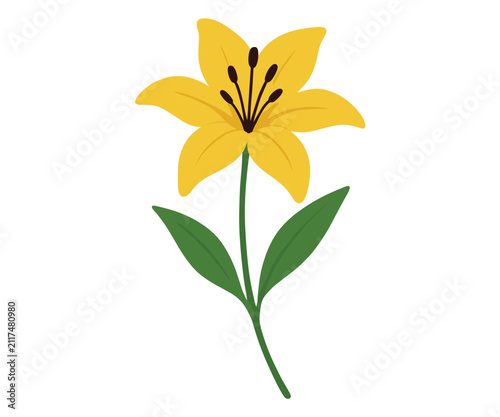 Yellow Lily Flower Vector Illustration Isolated on White Background