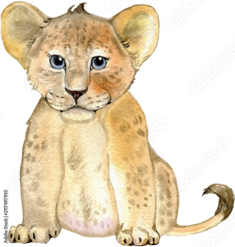 Canvas Print lion cub panthera Leo on white background