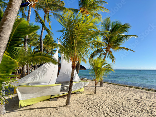 Sandstrand mit Palmen und Segelboot