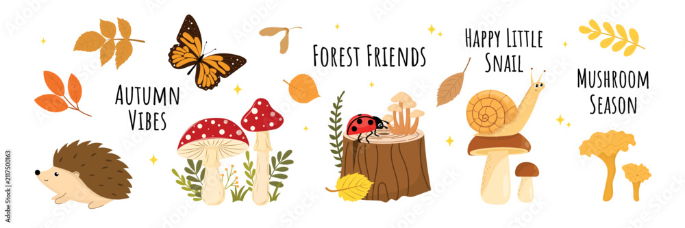 Fototapeta premium Cute autumn forest elements set with forest friends, hedgehog, snail, ladybug, butterfly, fly agaric and chanterelle mushrooms, fall leaves and lettering quotes.