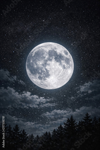 A captivating night sky scene with a full moon rising over silhouetted trees under starlit darkness.