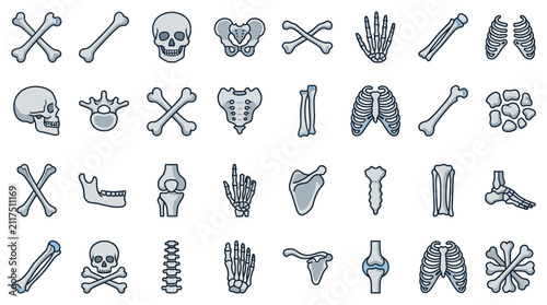 Фотография Dynamic Collection of Colorful and Detailed Human Bone Icons for Medical Educati