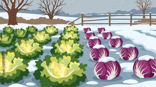 Bild auf Leinwand Escarole and Radicchio in Winter Vegetable Garden