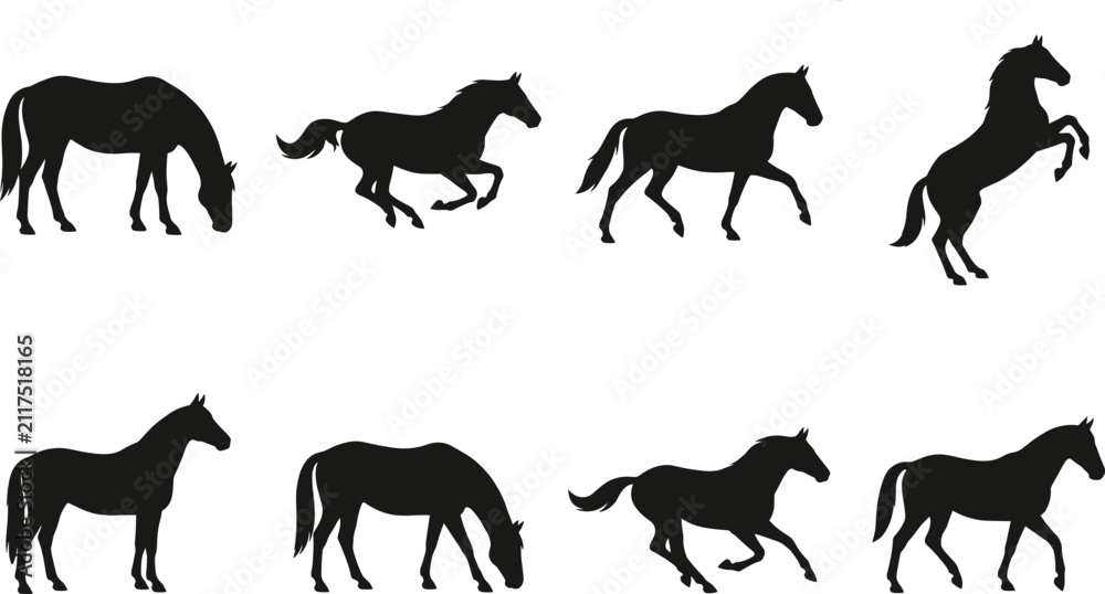 Obraz premium Collection of running, standing, and rearing black horse silhouettes vector illustration on white background