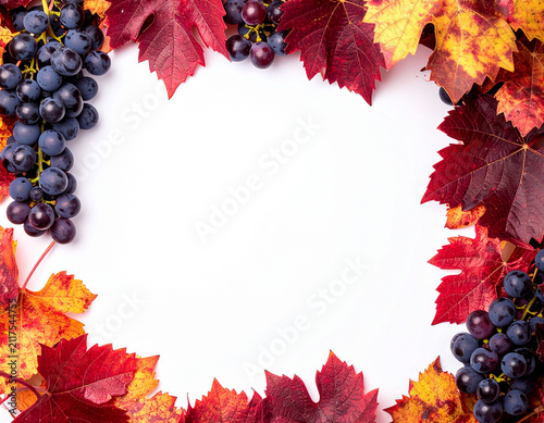 Fototapeta 秋の味覚である葡萄と紅葉した葉をあしらった円形フレーム 中央に文字入れスペースがあるホワイトバックの装飾用背景素材 ワインや収穫祭の告知に活用できる自然の植物デザイン メッセージカードや広告用の季節感あふれるグラフィックパーツ