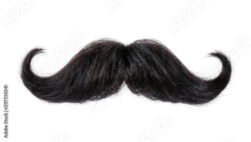 Thick black handlebar mustache with curled ends, isolated on transparent background