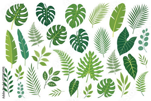 Minimalist Tropical Leaves Set Featuring Refreshing Botanical Vibes