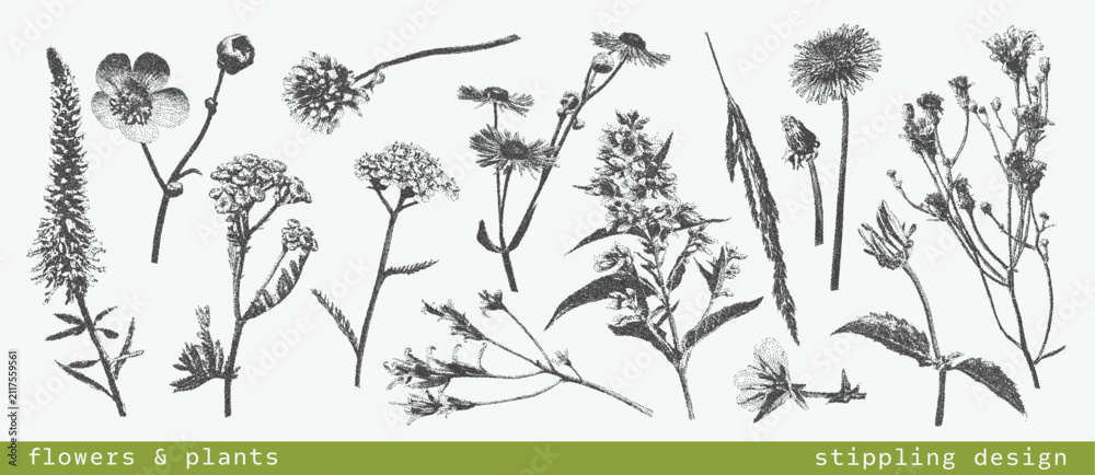 Fototapeta premium Vintage botanical set of various wild flowers and plants with grunge photocopy effect. Retro dotted texture illustrations. Nature floral design. Stippling grainy art in halftone tones for design