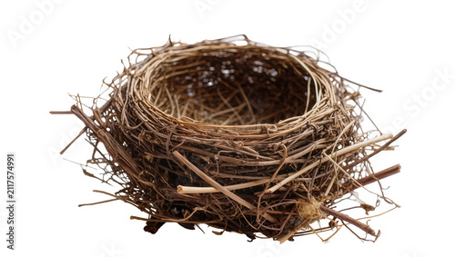 Cuadro en lienzo Natural twig bird nest empty and rustic, isolated on transparent background