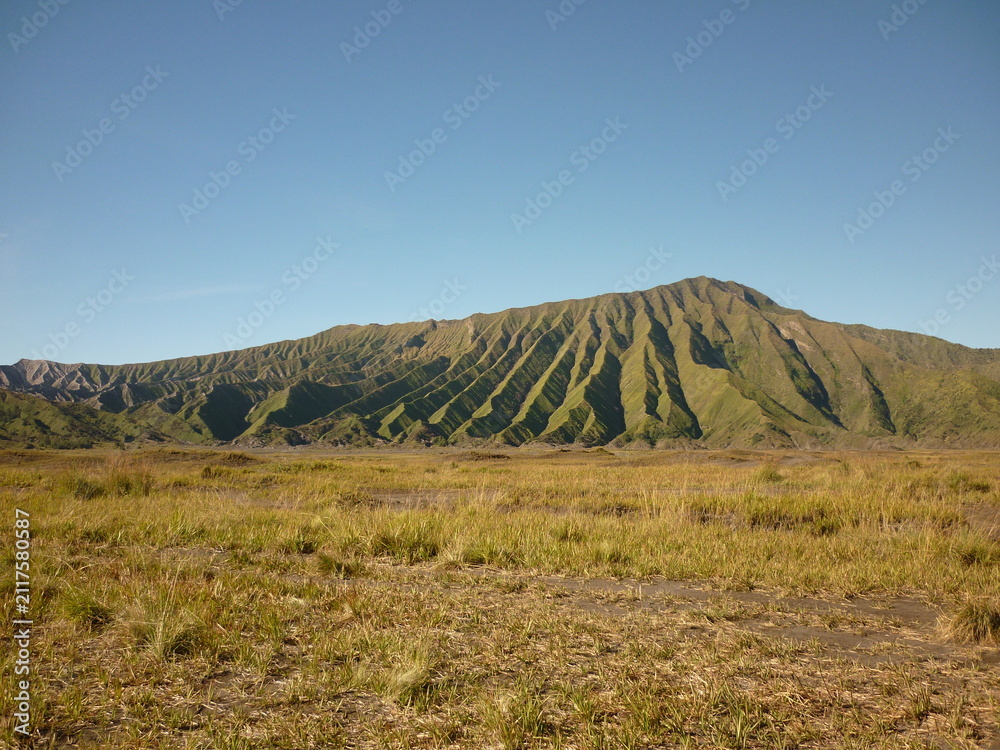 Obraz premium Grassland by Mount Bromo